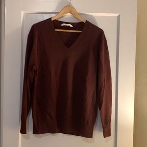 Everlane Cashmere  V Neck Sweater